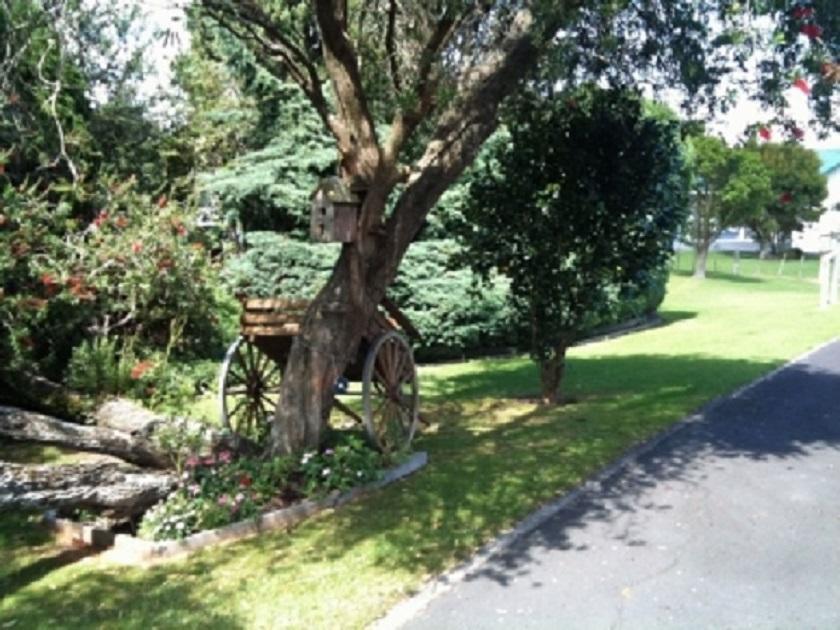 Dargaville Motel Экстерьер фото